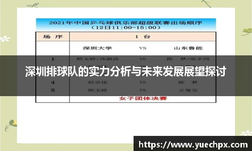 深圳排球队的实力分析与未来发展展望探讨